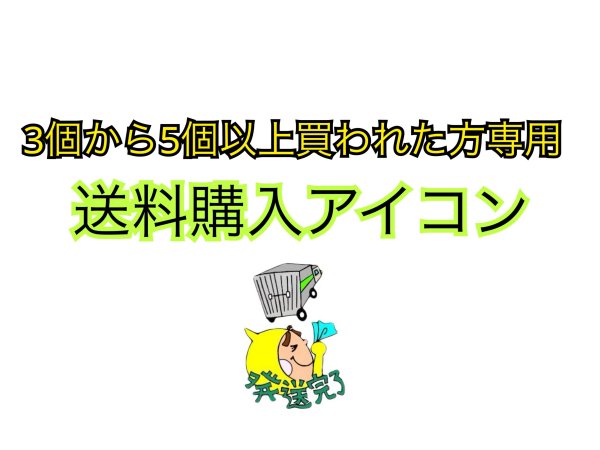 画像1: 送料2500円 (1)