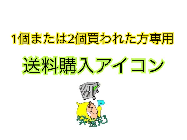 画像1: 送料1500円 (1)