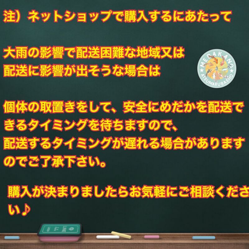 掲示板オークション?